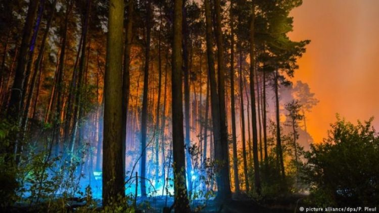 Berlin yakınlarında büyük orman yangını