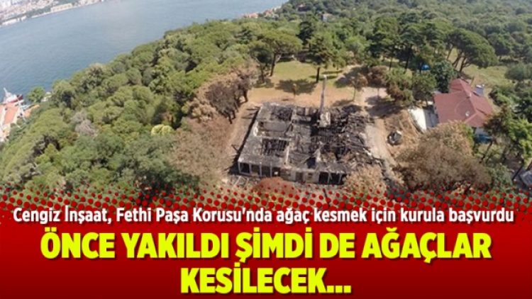 Cengiz İnşaat, Fethi Paşa Korusu’nda ağaç kesmek için kurula başvurdu