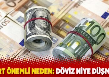 ‘Dört önemli neden: Döviz niye düşmez?’