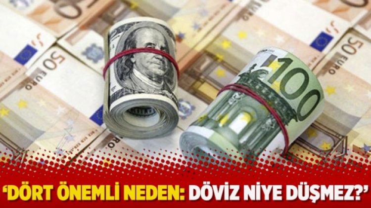 ‘Dört önemli neden: Döviz niye düşmez?’