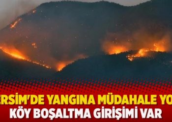 Dersim’de yangına müdahale yok, köy boşaltma girişimi var