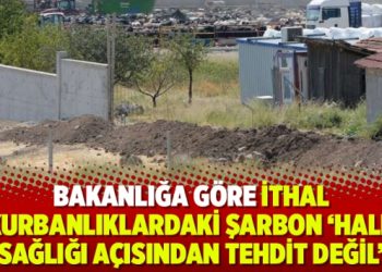 Bakanlığa göre ithal kurbanlıklardaki şarbon ‘halk sağlığı açısından tehdit değil’