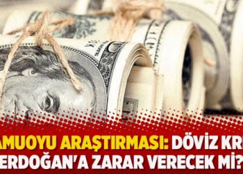 Kamuoyu Araştırması: Döviz krizi Erdoğan’a zarar verecek mi?