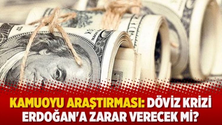 Kamuoyu Araştırması: Döviz krizi Erdoğan’a zarar verecek mi?