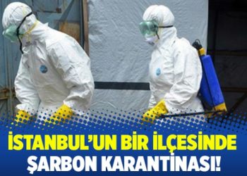 İstanbul’un bir ilçesinde şarbon karantinası!