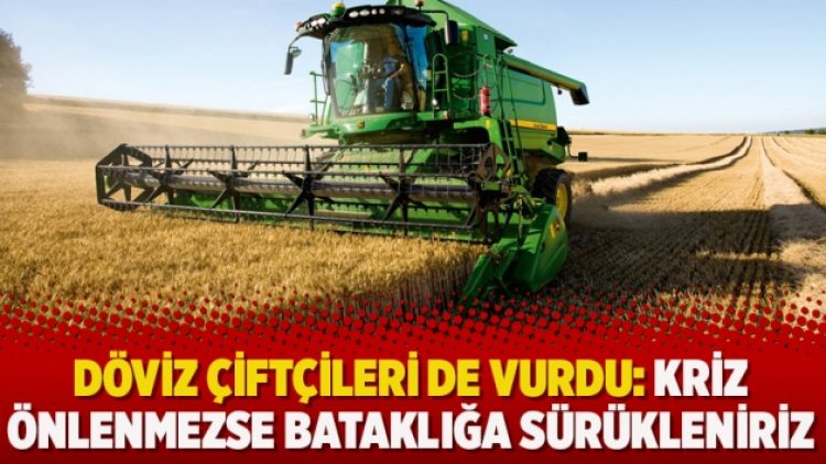 Döviz çiftçileri de vurdu: Kriz önlenmezse bataklığa sürükleniriz