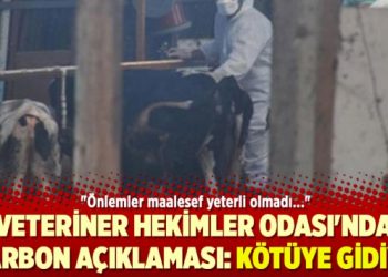 Veteriner Hekimler Odası’ndan şarbon açıklaması: Kötüye gidiyor