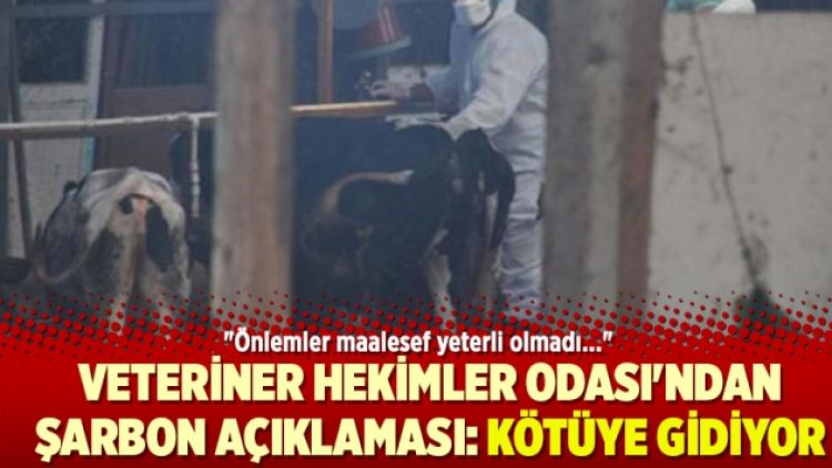 Veteriner Hekimler Odası’ndan şarbon açıklaması: Kötüye gidiyor