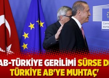 ‘AB-Türkiye gerilimi sürse de Türkiye AB’ye muhtaç’