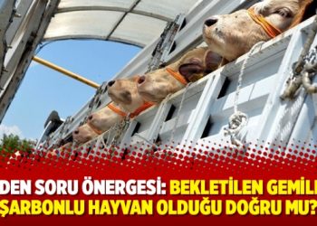 CHP’den soru önergesi: Bekletilen gemilerde şarbonlu hayvan olduğu doğru mu?