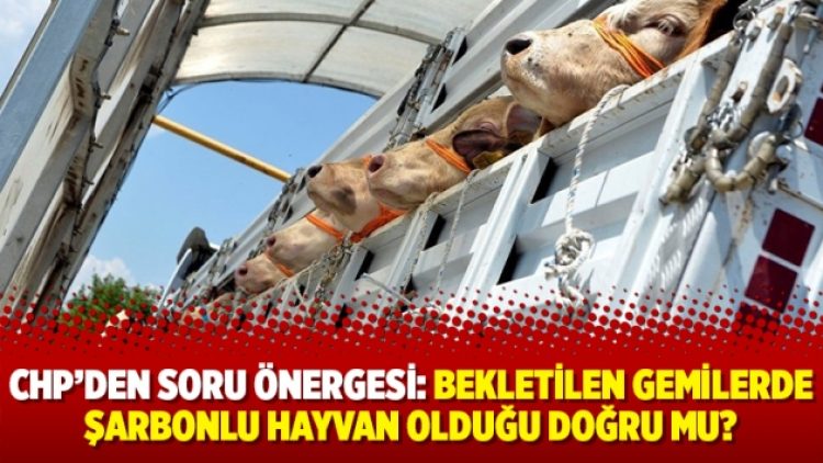 CHP’den soru önergesi: Bekletilen gemilerde şarbonlu hayvan olduğu doğru mu?