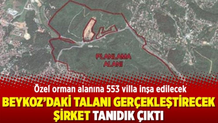Beykoz’daki talanı gerçekleştirecek şirket tanıdık çıktı