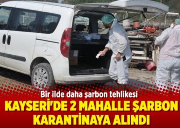 Bir ilde daha şarbon tehlikesi
