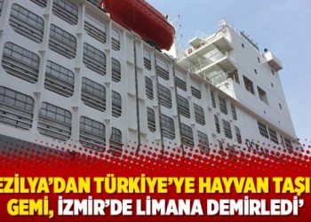 ‘Brezilya’dan Türkiye’ye hayvan taşımacılığında kullanılan gemi, İzmir’de limana demirledi’