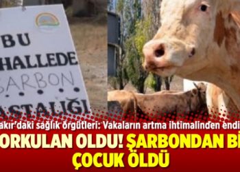 Korkulan oldu! Şarbondan bir çocuk öldü