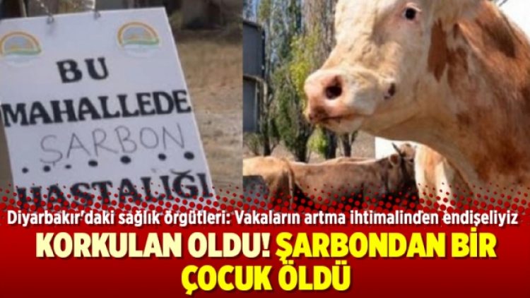 Korkulan oldu! Şarbondan bir çocuk öldü