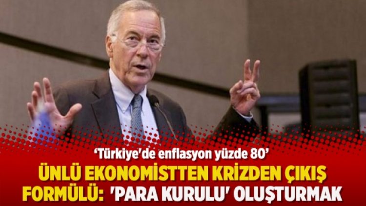 Ünlü ekonomistten krizden çıkış formülü:  ‘Para Kurulu’ oluşturmak