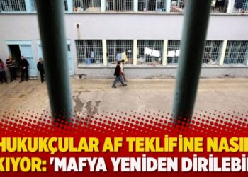 Hukukçular af teklifine nasıl bakıyor: ‘Mafya yeniden dirilebilir’