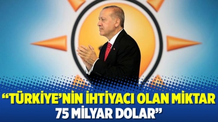 Türkiye’nin ihtiyacı olan miktar 75 milyar dolar