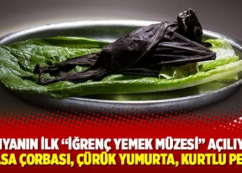 Dünyanın ilk ‘İğrenç Yemek Müzesi’ açılıyor: Yarasa çorbası, çürük yumurta, kurtlu peynir