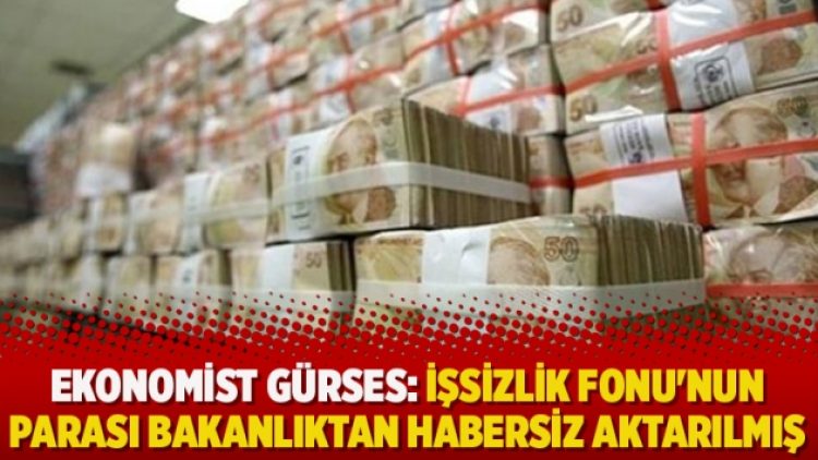 Ekonomist Gürses: İşsizlik Fonu’nun parası bakanlıktan habersiz aktarılmış