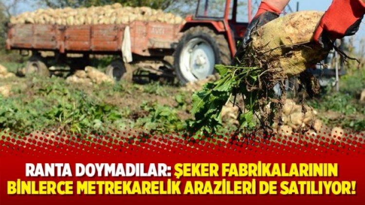 Ranta doymadılar: Şeker fabrikalarının binlerce metrekarelik arazileri de satılıyor!
