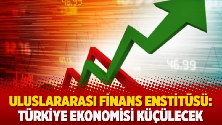 Uluslararası Finans Enstitüsü: Türkiye ekonomisi küçülecek