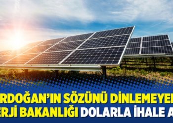 Erdoğan’ın sözünü dinlemeyen Enerji Bakanlığı dolarla ihale açtı