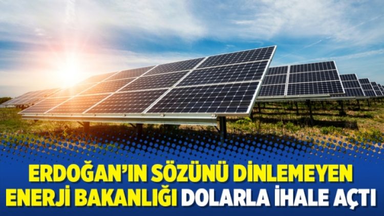 Erdoğan’ın sözünü dinlemeyen Enerji Bakanlığı dolarla ihale açtı