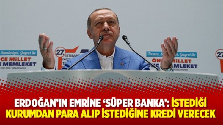 Erdoğan’ın emrine ‘süper banka’: İstediği kurumdan para alıp istediğine kredi verecek