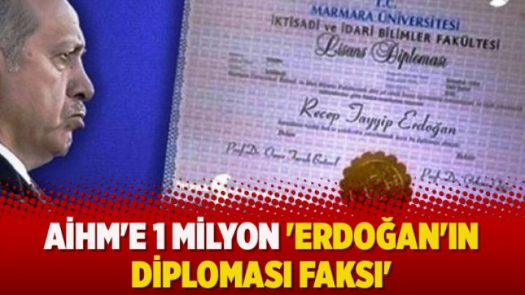 AİHM’e 1 milyon ‘Erdoğan’ın diploması faksı’