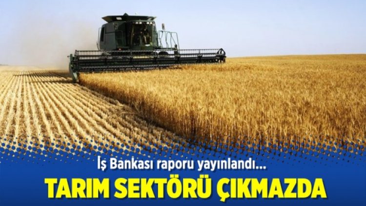İş Bankası raporundan: Tarımcılık çıkmazda