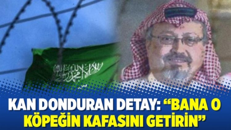 Kan donduran detay: Bana o köpeğin kafasını getirin