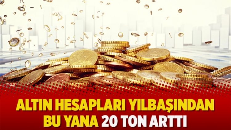 Altın hesapları yılbaşından bu yana 20 ton arttı