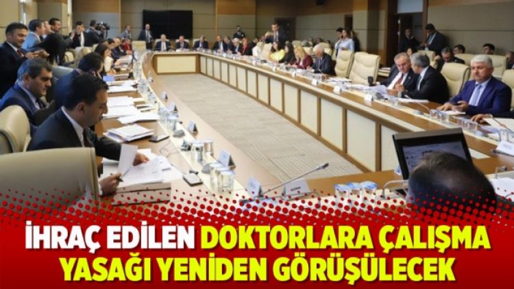 İhraç edilen doktorlara çalışma yasağı yeniden görüşülecek