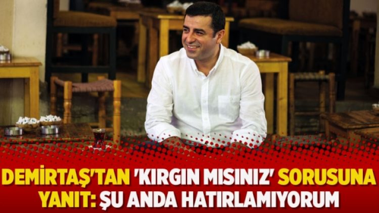 Demirtaş’tan ‘kırgın mısınız’ sorusuna yanıt: Şu anda hatırlamıyorum