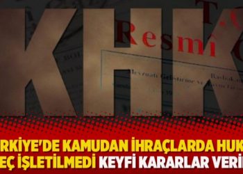 “Türkiye’de kamudan ihraçlarda hukuki süreç işletilmedi keyfi kararlar verildi”