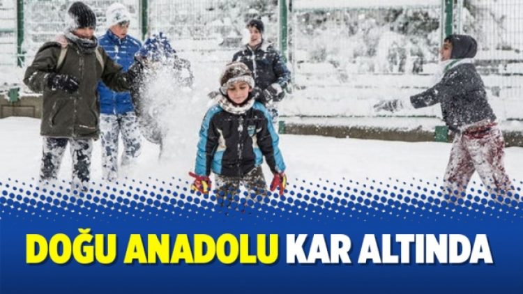 Doğu Anadolu kar altında
