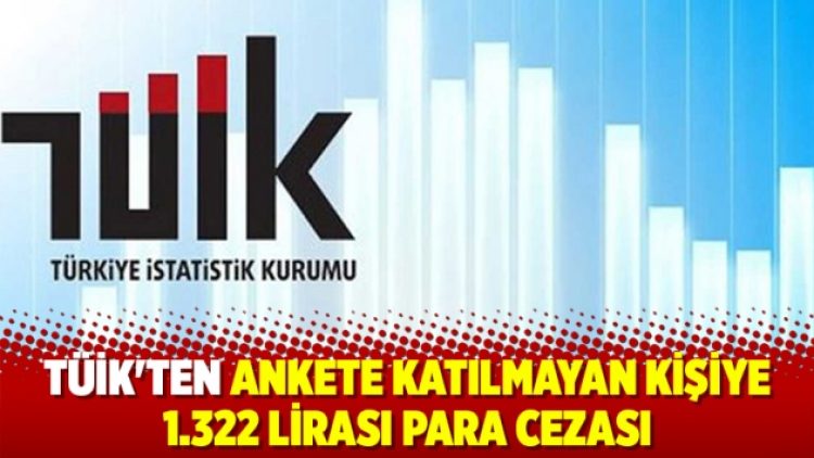 TÜİK’ten ankete katılmayan kişiye 1.322 lirası para cezası
