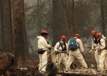 California’da orman yangını: Kayıp sayısı 631’e çıktı