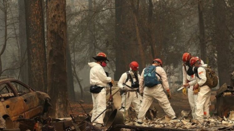 California’da orman yangını: Kayıp sayısı 631’e çıktı