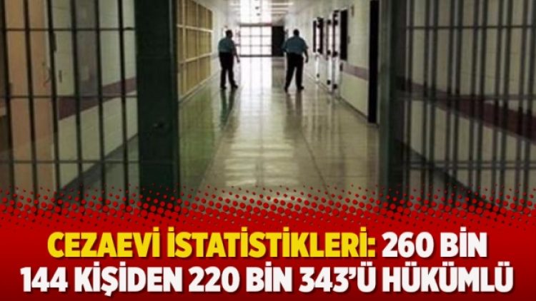 Cezaevi istatistikleri: 260 bin 144 kişiden 220 bin 343’ü hükümlü