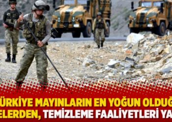 ‘Türkiye mayınların en yoğun olduğu ülkelerden, temizleme faaliyetleri yavaş’
