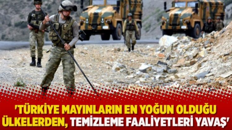 ‘Türkiye mayınların en yoğun olduğu ülkelerden, temizleme faaliyetleri yavaş’