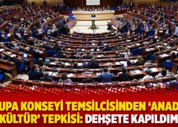 Avrupa Konseyi temsilcisinden ‘Anadolu Kültür’ tepkisi: Dehşete kapıldım