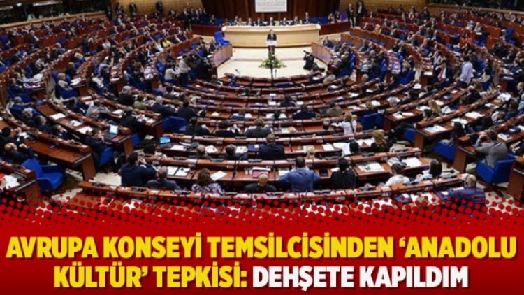 Avrupa Konseyi temsilcisinden ‘Anadolu Kültür’ tepkisi: Dehşete kapıldım