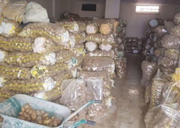 Patates-soğan baskınları başladı: Bursa’da 35 ton patatese el konuldu