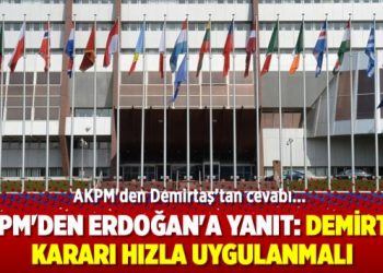 AKPM’den Erdoğan’a yanıt: Demirtaş kararı hızla uygulanmalı