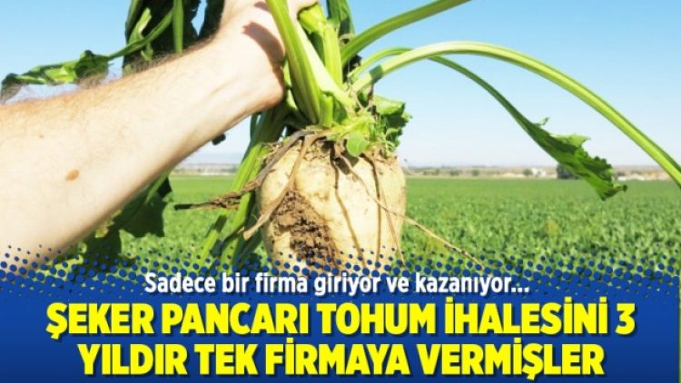 Şeker pancarı tohum ihalesini 3 yıldır tek firmaya vermişler