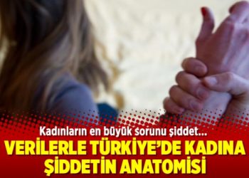 Verilerle Türkiye’de kadına şiddetin anatomisi